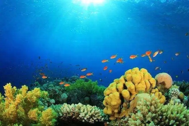 海洋環境檢測技術服務
